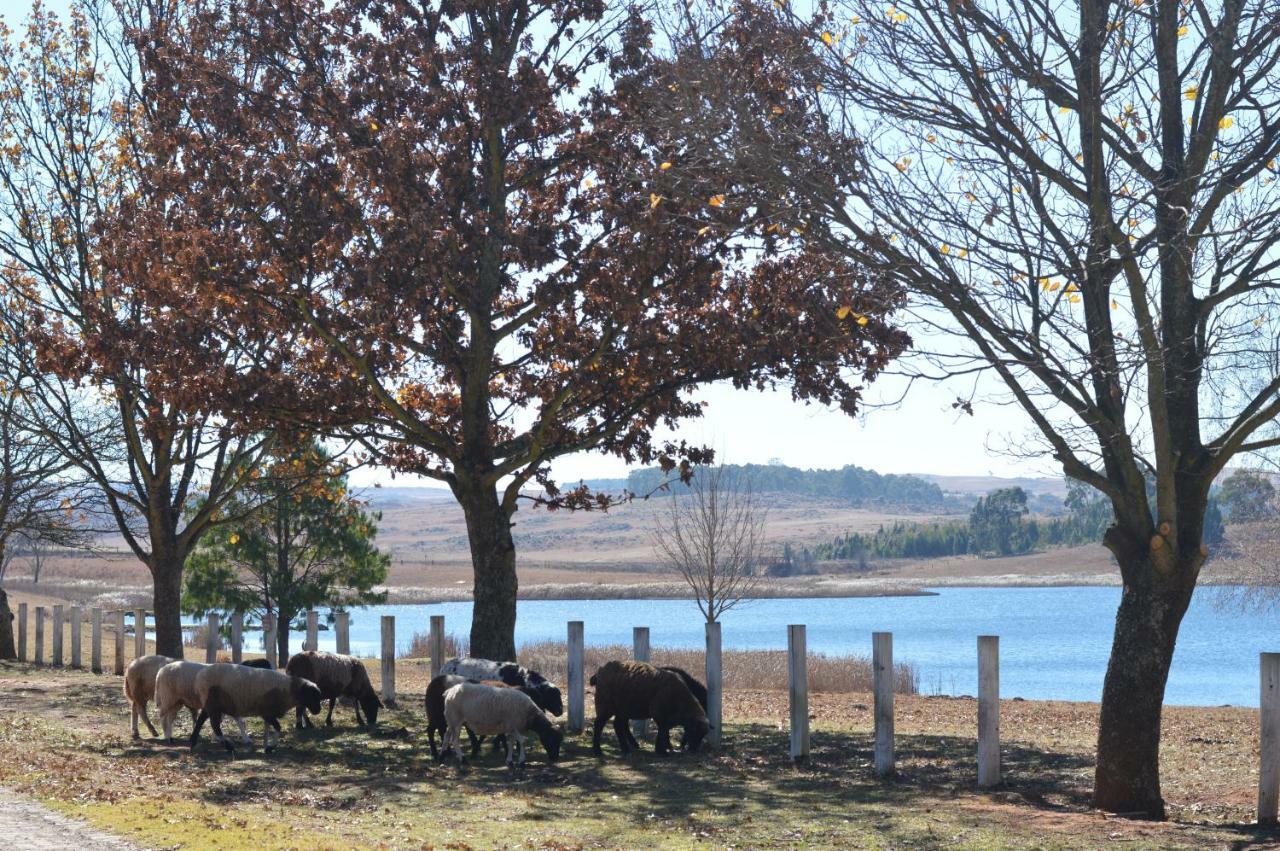 Dullstroom On The Dam Экстерьер фото